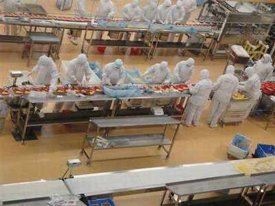 重慶銅梁出國務工 哪些國家農產品領域收入最高？