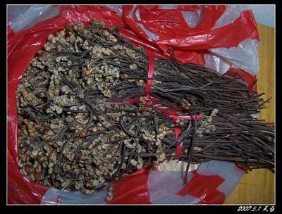 探尋優(yōu)質(zhì)蕨菜干 從廠家樣板圖到上海批發(fā)——湖北四季農(nóng)產(chǎn)品價(jià)格解析