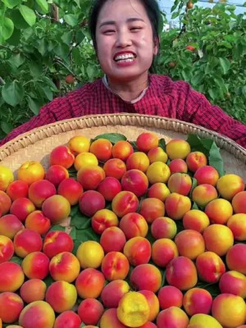 守護(hù)舌尖上的安全與品質(zhì) 優(yōu)質(zhì)農(nóng)產(chǎn)品的時(shí)代價(jià)值與未來(lái)之路