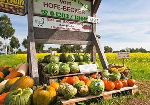 借鑒國(guó)外經(jīng)驗(yàn)，破解農(nóng)產(chǎn)品滯銷難題