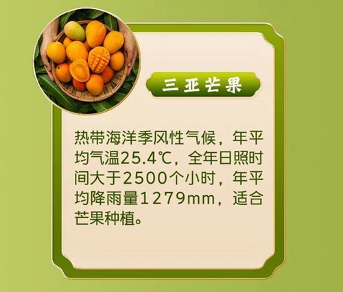 初夏賜予的見面禮 全國優質農產品推薦地圖，這些鮮味別錯過