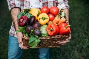 鄉(xiāng)村規(guī)劃設(shè)計(jì)視角下 農(nóng)產(chǎn)品品牌營(yíng)銷的十大誤區(qū)與新農(nóng)人啟示