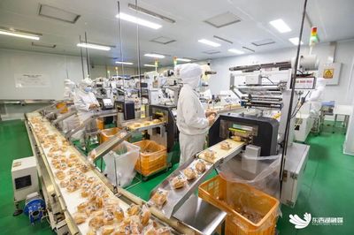 區(qū)內企業(yè)投資管理 策略、挑戰(zhàn)與優(yōu)化路徑